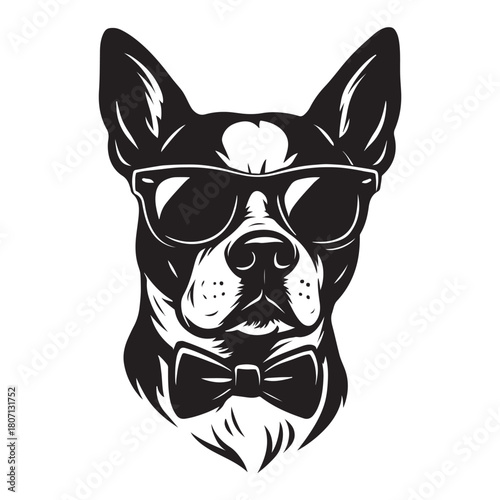 dog with sunglass vector