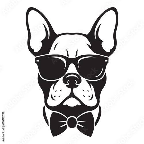 dog with sunglass vector