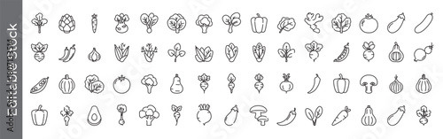Mega collection of Organic fresh Vegetable and food line icon set – editable outline symbols of tomato, carrot, onion, pepper, mushroom, eggplant, and broccoli