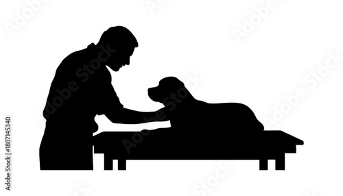 Veterinarian examining dog pet care animal health checkup clinic