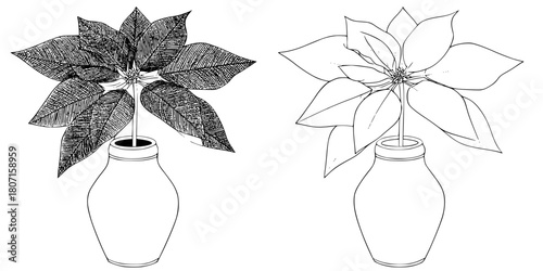 Black White Flat Illustration Poinsettia Vases | Clean, isolated vector art for creative projects.