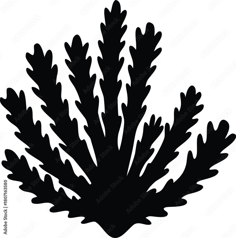 Fototapeta premium Sea corals and seaweed silhouette illustration