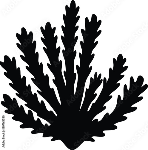 Sea corals and seaweed silhouette illustration