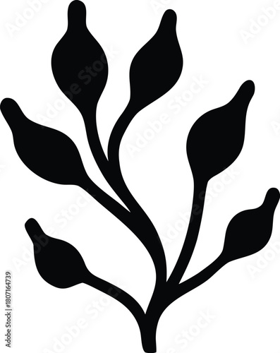 Sea corals and seaweed silhouette illustration