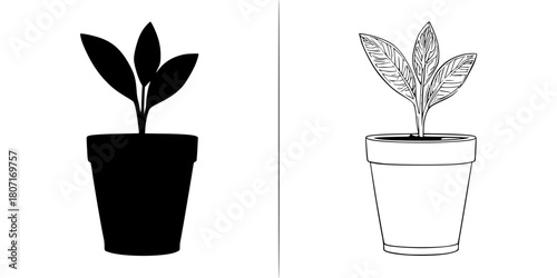 Monochrome Botanical Delight: Pair Plant Pots Black White | Clean, isolated vector art for creative projects.