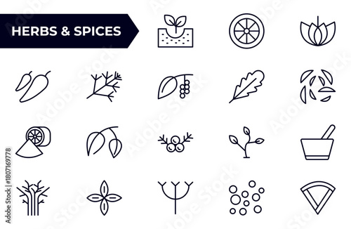 Herbs and Spices outline icon set. Fresh Produce, Dairy, Snacks, Meats, Condiments, Beverages, Baby Food, Household Items – Vector Icons for E-commerce, Food Delivery and Grocery Apps.