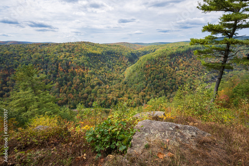 Bild auf Leinwand Pine Creek Gorge, or the Pennsylvania Grand Canyon