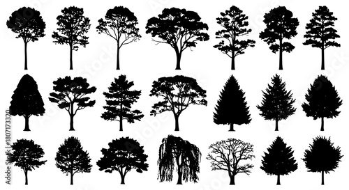 A diverse collection of various black tree silhouettes isolated on a white background for design elements