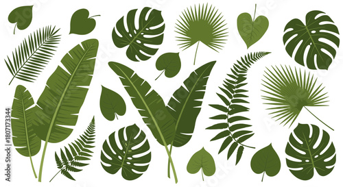 Lush botanical variety A beautiful collection of tropical leaves and exotic foliage elements for design