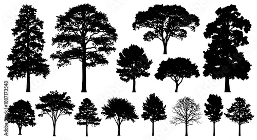 Silhouette Variety Black and White Tree Collection