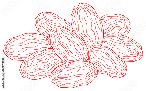 A red and white line drawing of a flower composed of almonds, almond, black, draw, fruit, illustration, mixture, nut, pistachio, against transparent background
