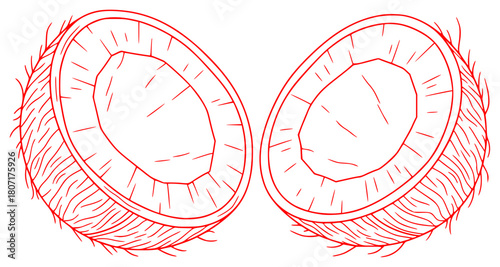 A red and white line drawing of two halves of a coconut, coconut, draw, drawing, half, illustration, nut, open, shell, sketch, against transparent background