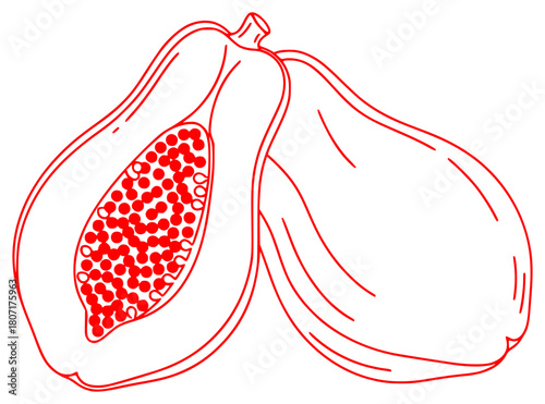A red and white line drawing of two papaya fruits, black, cut, draw, drawing, fig, fruit, half, illustration, papaya, seed, sketch, against transparent background