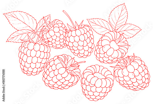 red raspberry fruit, highly detailed, high resolution, digital illustration, hyper realistic, photo-realistic, close-up, vibrant colors, sharp focus, clean lines, intricate details, seamless rendering