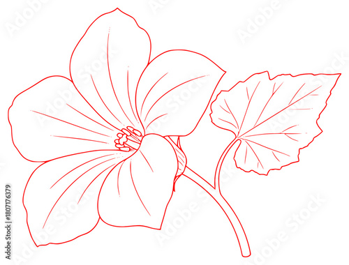 A black and white line drawing of a flower with leaves, black, coloring book, drawing, flower, geranium, illustration, leaf, outline, petal, plant, stem, against transparent background
