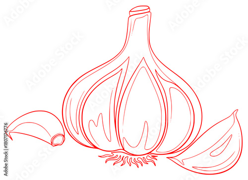 A line drawing of an onion with leaves, draw, drawing, garlic, illustration, lamp, onion, stem, against transparent background