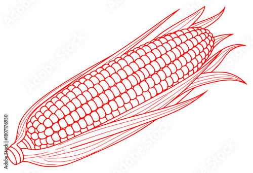 A black and white line drawing of an ear of corn, black, cob, corn, draw, drawing, ear, illustration, sketch, against transparent background