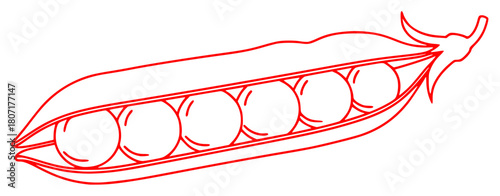 A line drawing of a pea pod filled with four peas, bean, draw, drawing, green, illustration, outline, pea, pod, against transparent background