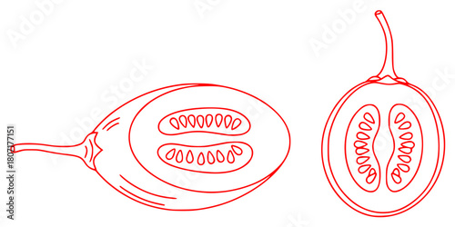 anatomical sketch, medical diagram, medical illustration, internal organs, cross-section, scientific study, human anatomy, biological illustration, educational, technical, medical reference

