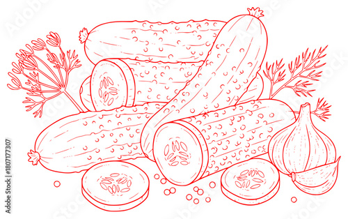 Fresh green cucumber slice. Thin line illustration. Pro Vector