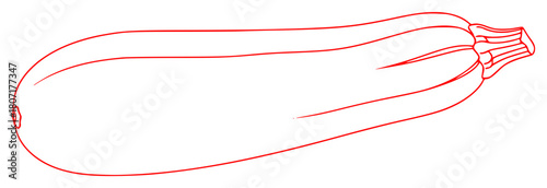 A line drawing of a zucchini, courgette, draw, drawing, eggplant, illustration, line, outline, squash, string, vegetable, against transparent background