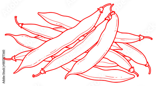 A black and white line drawing of a bunch of beans, banana, bean, black, bundle, draw, drawing, green, illustration, ink, pea, pepper, pod, sketch, stem, against transparent background