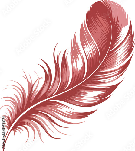 Reddish brown feather vector illustration elegant soft textures