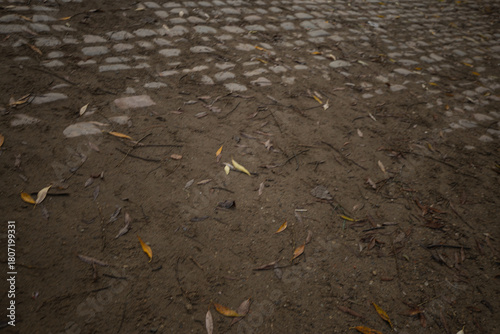 Fototapeta Naklejka Na Ścianę i Meble -  Rough ground surface showing old cobblestones blending into a dirt path scattered with dry autumn leaves and small twigs