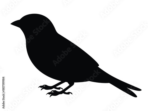 0005_2_silhouette-of-sparrow-black-vector-on-wh_Yn6FrUu8R16A4PnlCBGddA_FudjqNfaR6ePiX9PndXbxw.eps