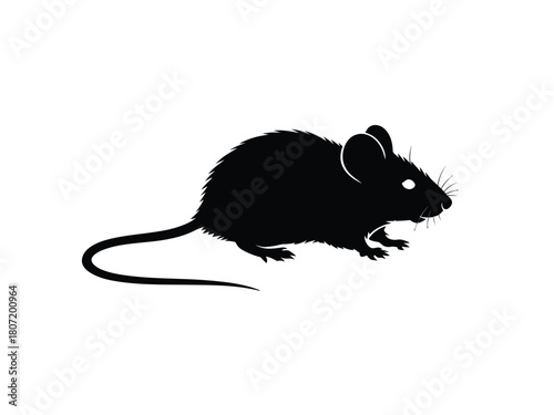 0009_1_silhouette-of-house-mouse-black-vector-o_8SdLiNzOQ4yiZqaj76ZKqQ_Ef6dhpTORoiJJlTzTQ4KDA.eps