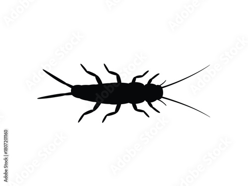 0010_1_silhouette-of-silverfish-black-vector-on_weoQVTWdRC2EX2iLyWKQ_w_G0pCMJFUReSFXBlPiDXphA.eps