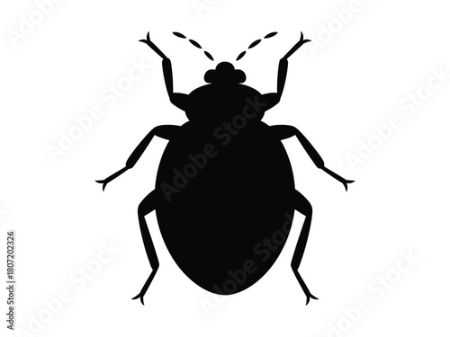 0016_2_silhouette-of-bed-bug-black-vector-on-wh_KekgwVegR_aNr2Ywnmuvzg_iIkMSQczQ0izH_wWvimCRA.eps