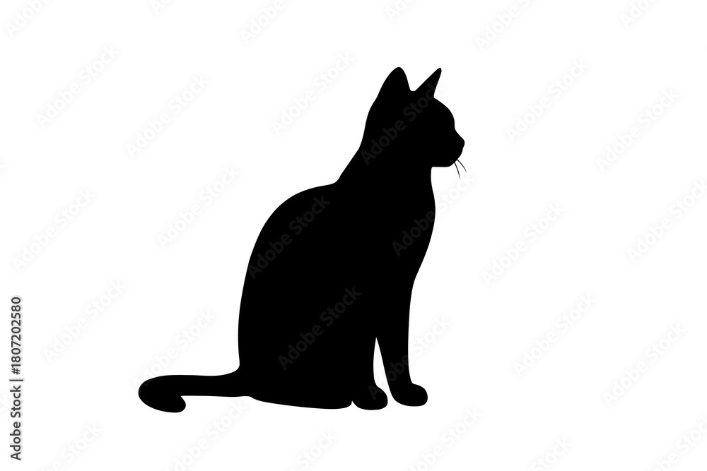 Obraz premium black cat on white background
