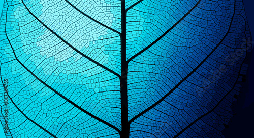 Explore the intricate details of a translucent blue leaf, perfect for modern designs and vibrant nature-inspired concepts