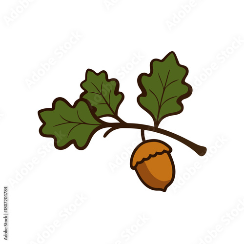 acorns and oak leaves
