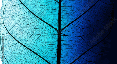 Stunning blue botanical leaf skeleton offers a modern, calming, organic texture for vibrant designs and elegant backgrounds