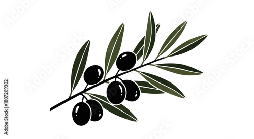 Illustration of an olive branch with black olives and green leaves.