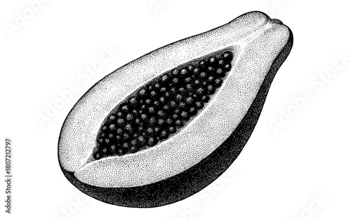 Detailed papaya cross-section in vintage hand-drawn style