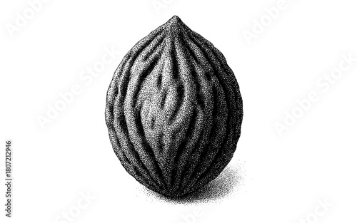 Realistic detailed nutmeg engraving in vintage black and white style