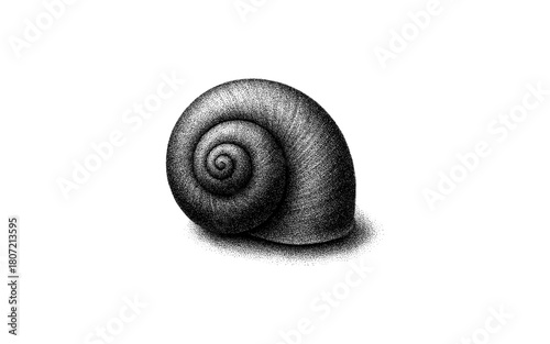 Intricate pointillism snail shell on white background with detailed texture