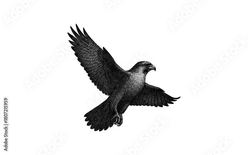 Intricate dotwork falcon illustration in flying pose against white background
