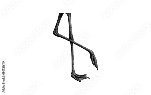 Intricate engraved goose leg design isolated on white background