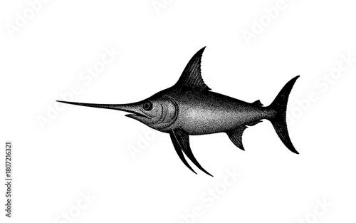 Detailed swordfish drawing with stipple technique on white background