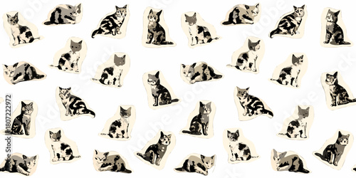 Seamless pattern of black and white cats in various poses on white background