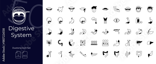Digestive System Duotone Editable Icons set