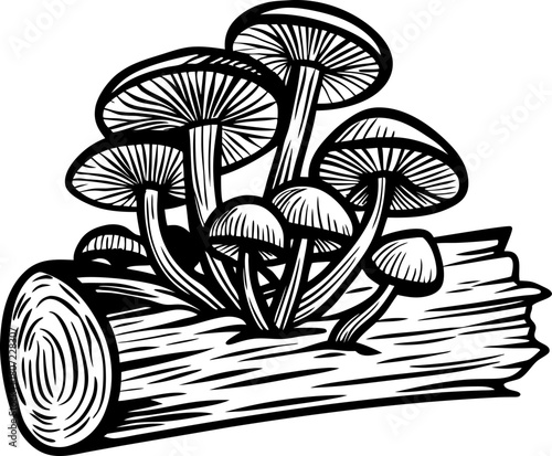 Cluster of wild mushrooms growing on tree log, hand drawn black and white illustration, fungi wood nature