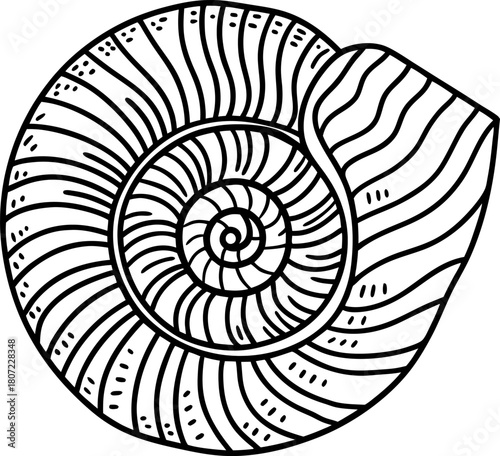 Spiral seashell illustration nautilus shell contour with natural spiral shape, marine sea life, ocean mollusk drawing