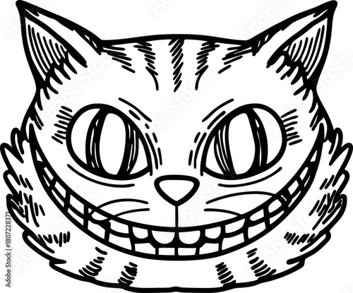 Grinning cat face drawing wide smile, big eyes, furry feline, black and white illustration, whimsical animal art