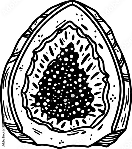 Hand drawn geode illustration cross section of a crystalline geode rock with crystal cluster, gemstone detail, black and white