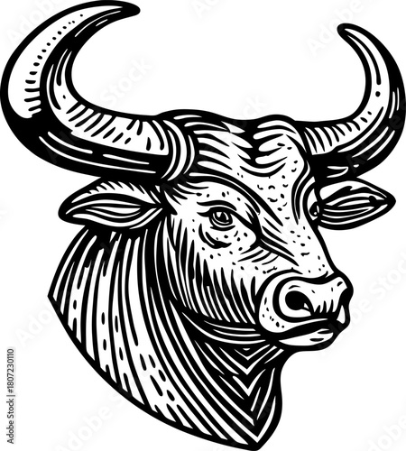 Strong bull head line art illustration powerful horned animal symbol, monochrome muscular cattle design
